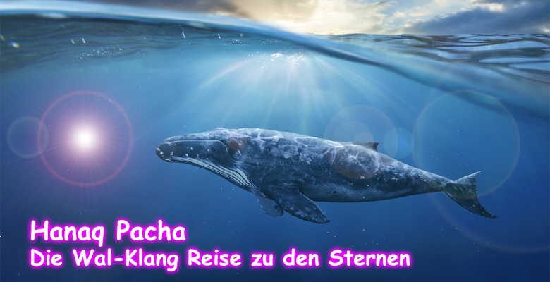 Shamanic Dream - Schamanische Heilarbeit fr Mensch und Tier - Laika Schamane - Basel Schweiz -Schamanismus,Aura-Soma,Tierkommunikation,Tiertherapie und Coaching